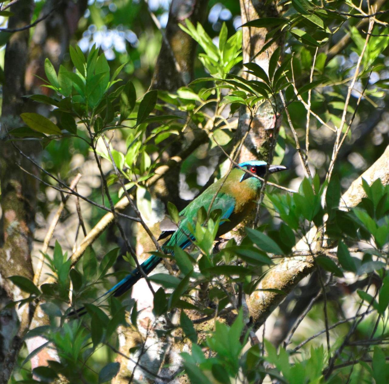 El Valle de Anton La Chachalaca Exterior foto
